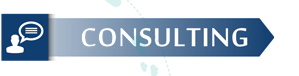 Energy Consulting