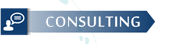 Energy Consulting